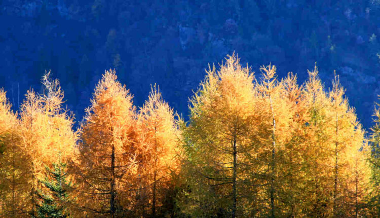 Valvestino autunno