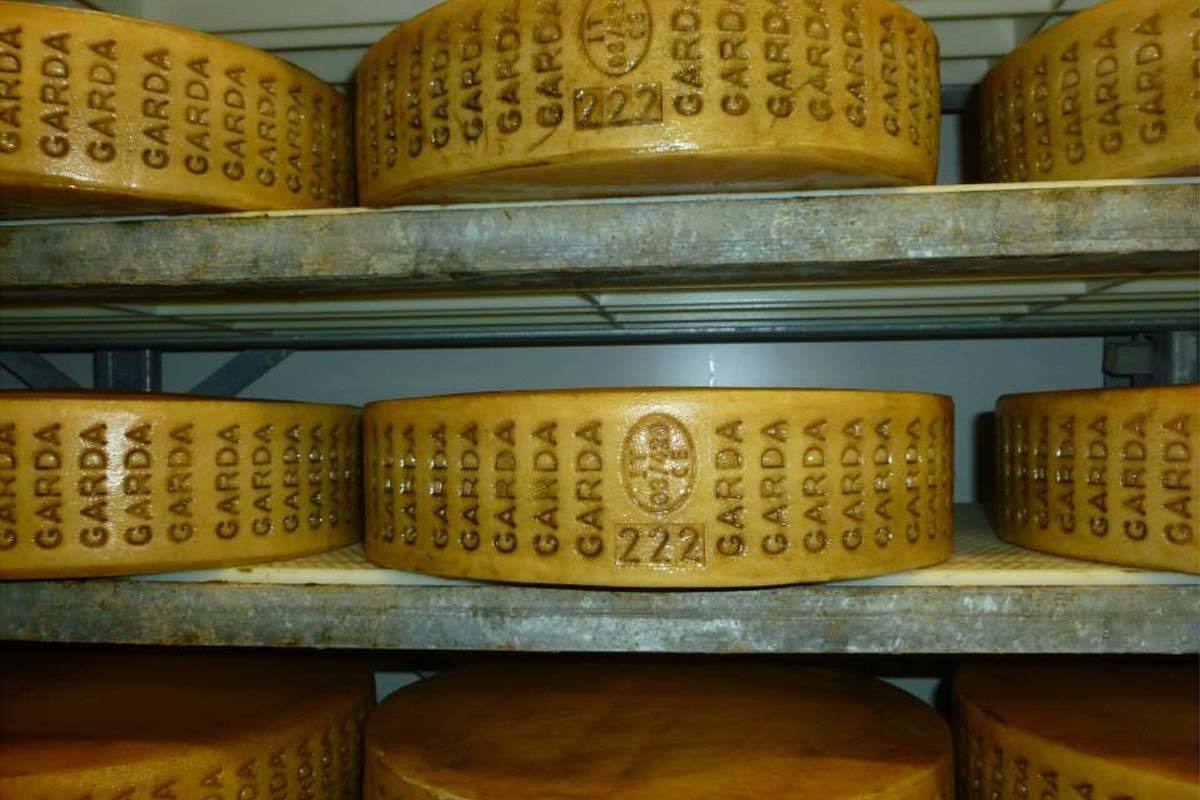 formaggio Garda tremosine