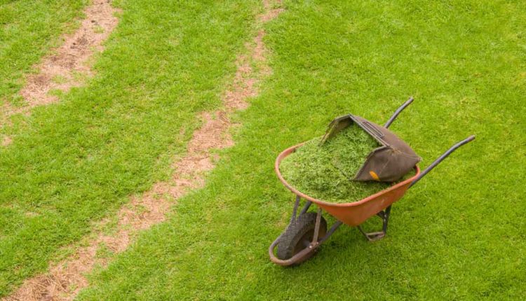 lavoro giardiniere prato