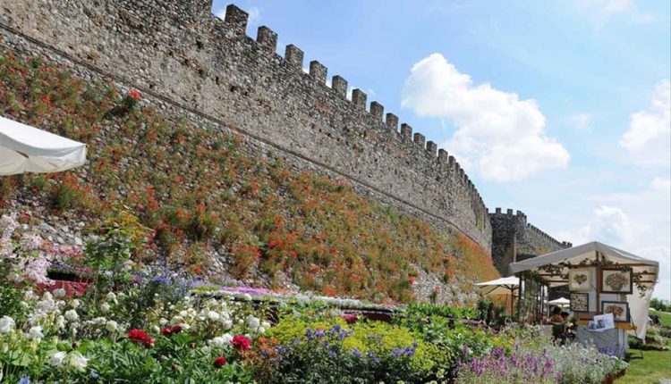Fiori nella Rocca Lonato