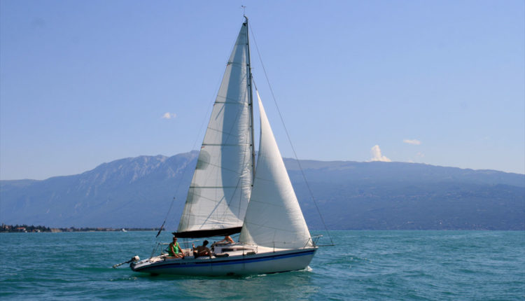 vela