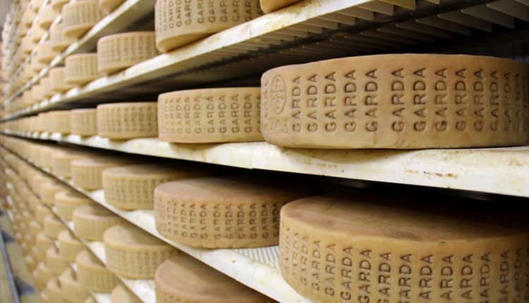 Formaggio Garda di Tremosine