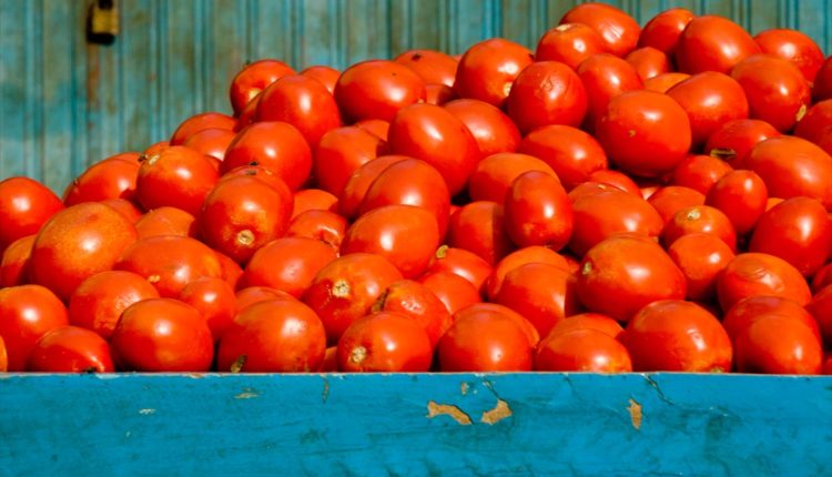 pomodori mercato