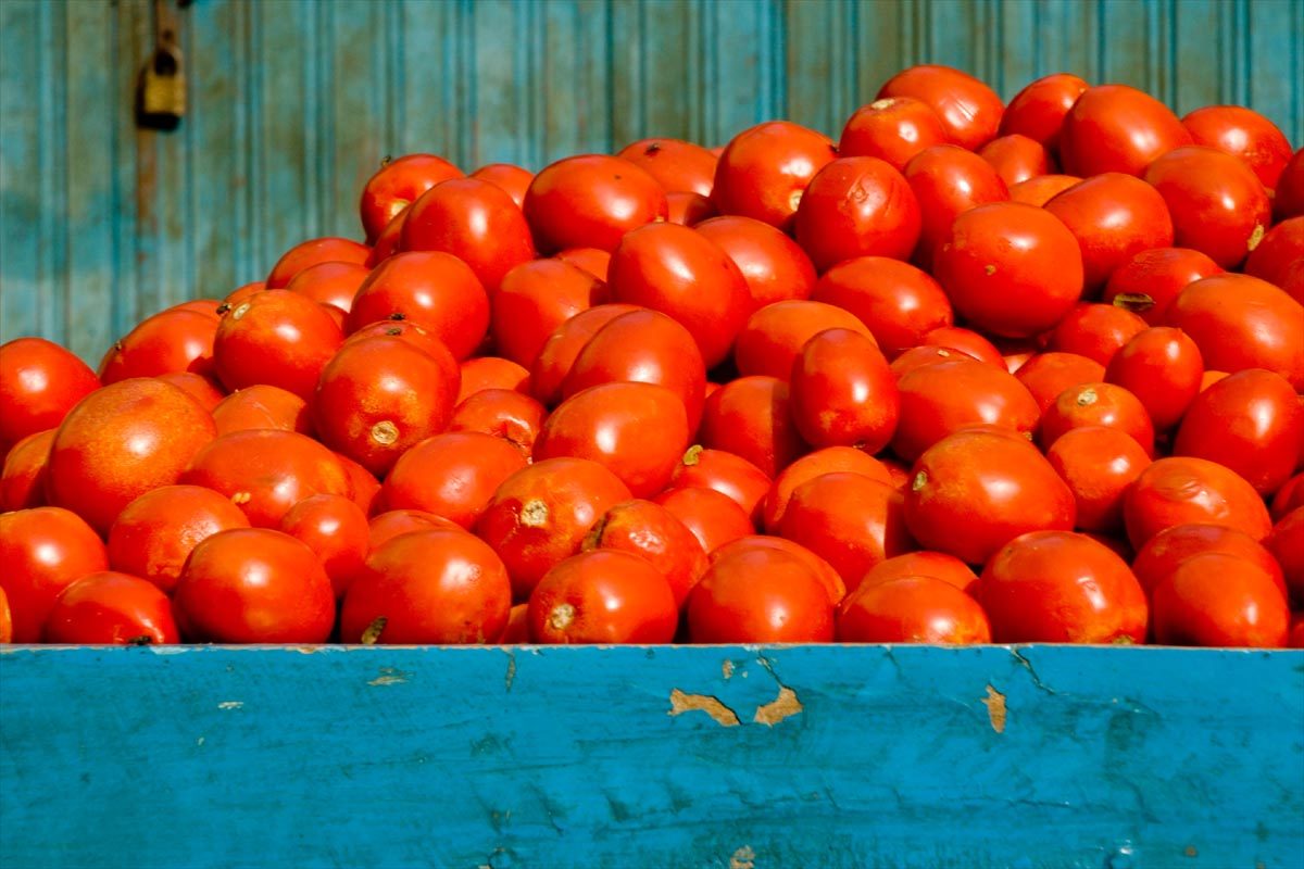 pomodori mercato