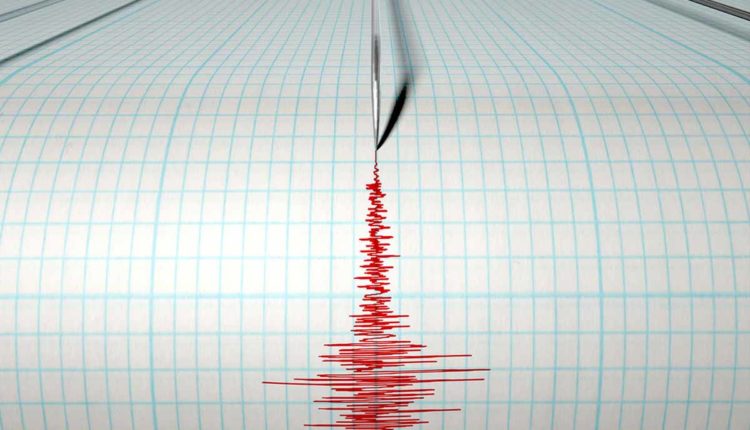 sismografo sismogramma terremoto