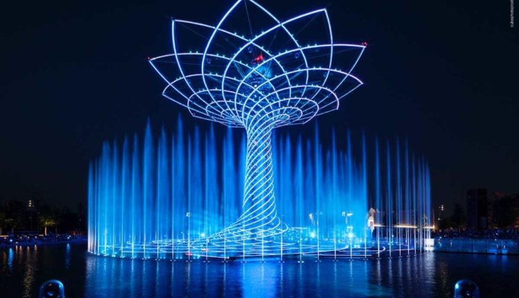 albero della vita