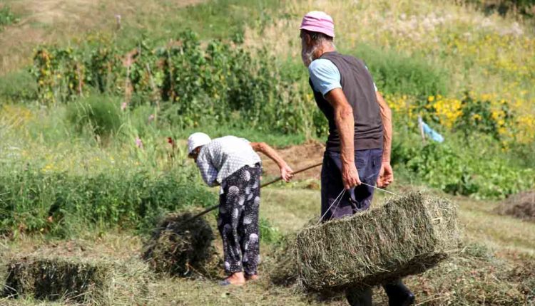 Agricoltura montagna valvestino
