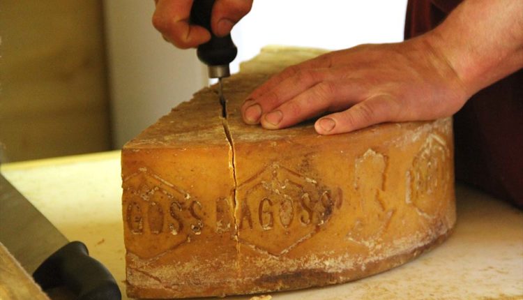 Bagoss formaggio