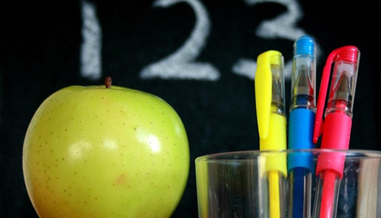 scuola istruzione