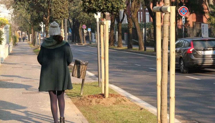 Piante viale stazione Desenzano