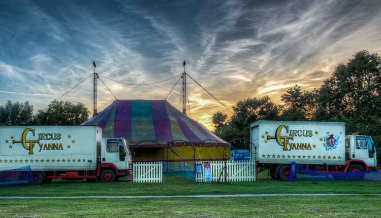 circo