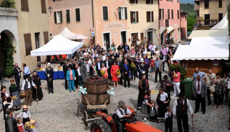 Fiera del vino di Polpenazze