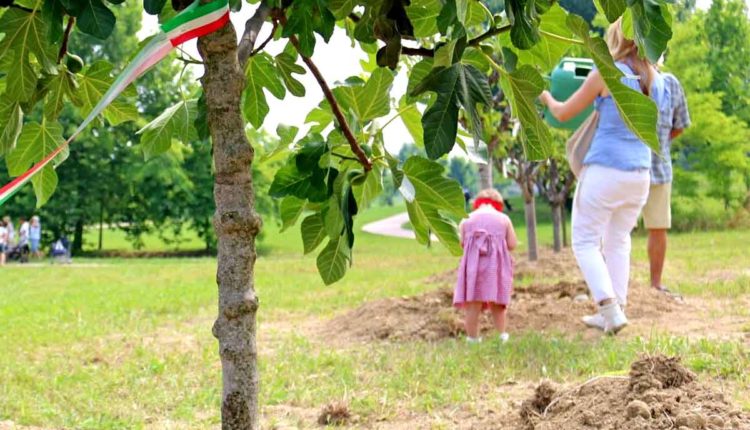 Frutteto elementari di Pozzolengo