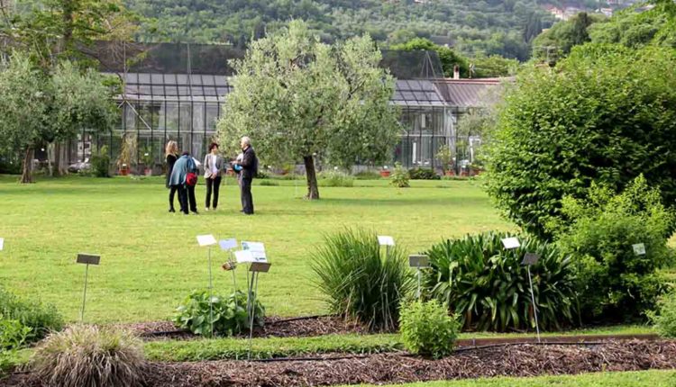 orto botanico toscolano