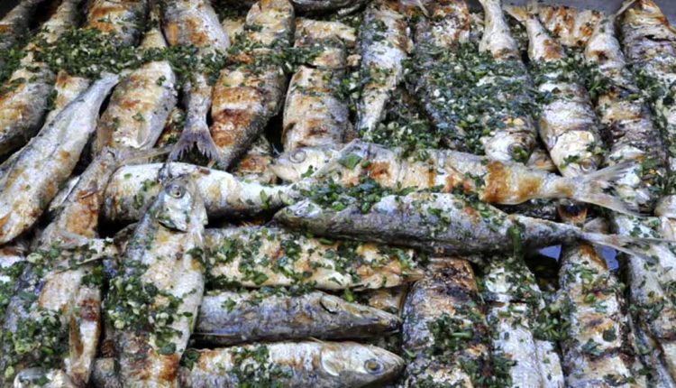 sardine