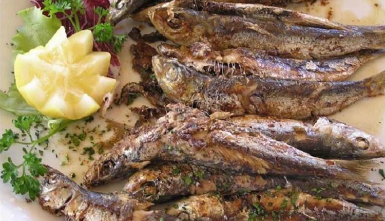 Sardine