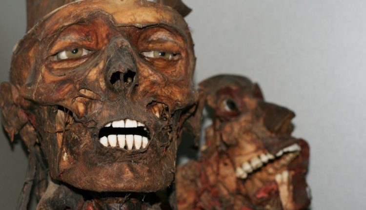 mummie di salò