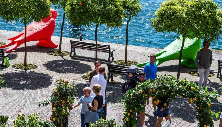 Giardini d'agrumi