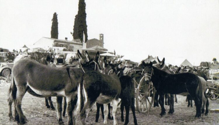 fiera di cavalcaselle