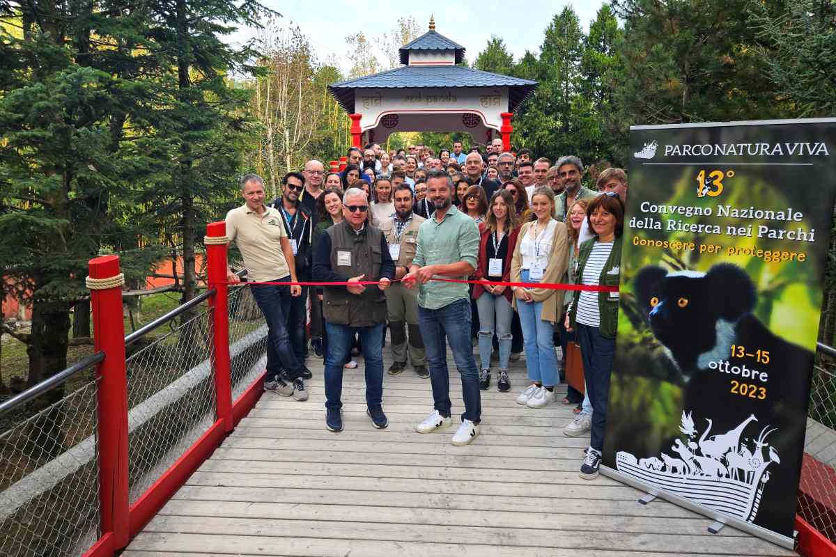 ponte dei panda rossi al Parco Natura Viva