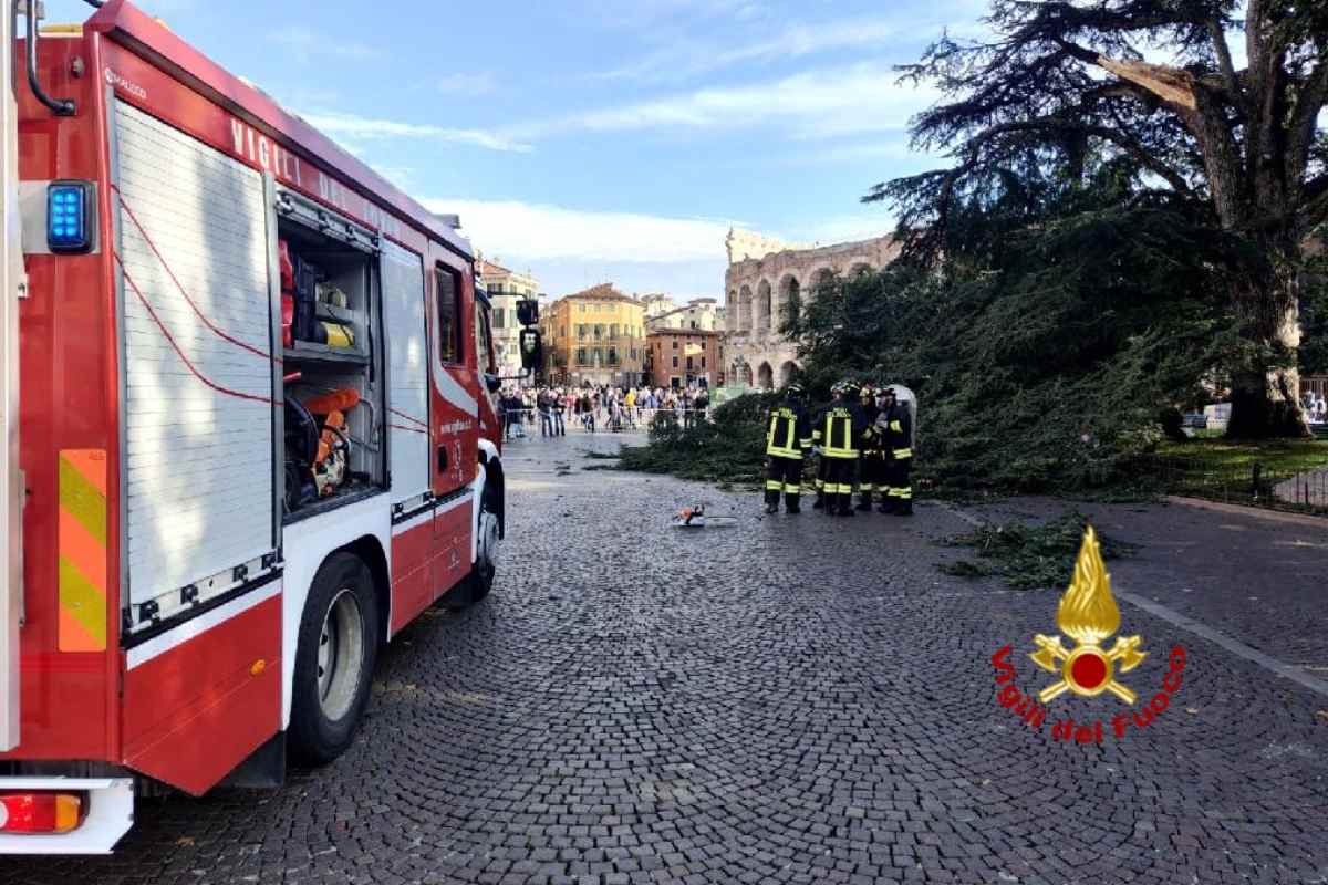 ramo caduto piazza bra
